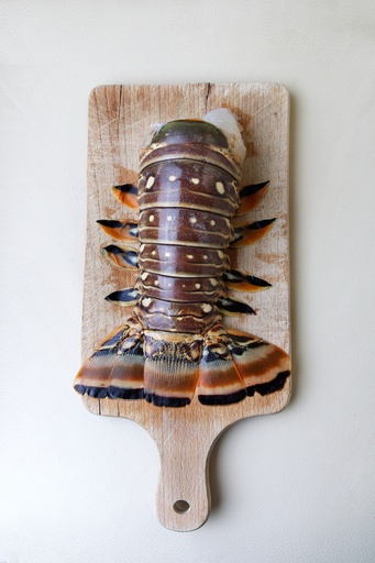  Caribbean spiny lobster tail